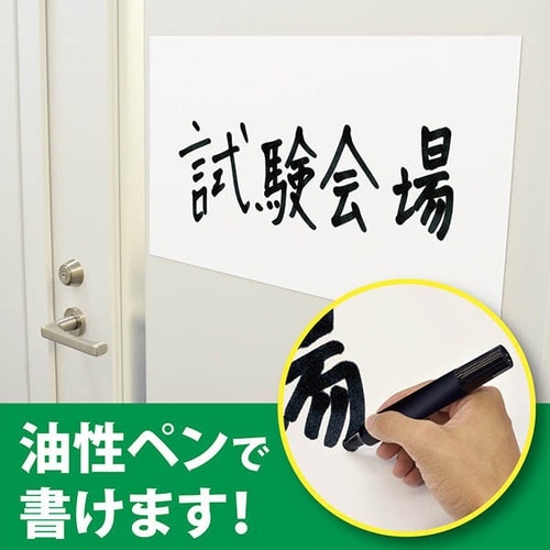 カラーシート5060白