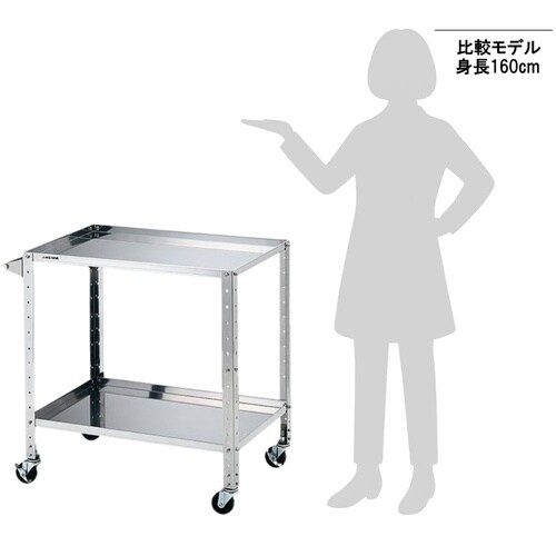 ステンレスヘビーワゴン 枠付きラージ2段