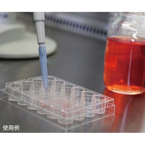SPHERICALPLATE5Dプレート