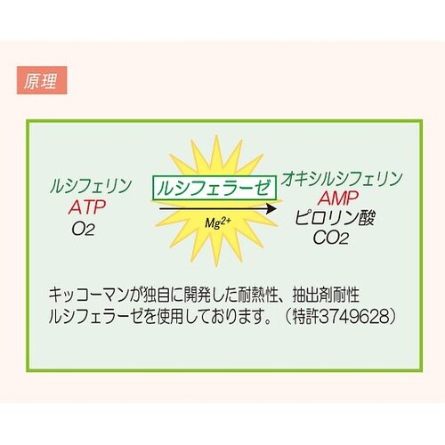 ルシフェール250プラス 60312