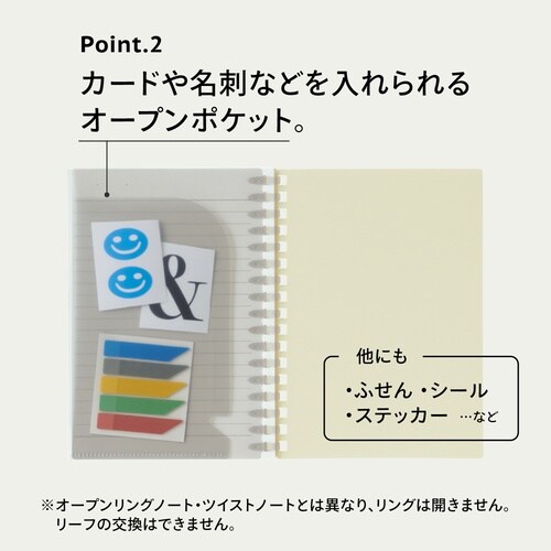 ソフィーチェノート A6 オリーブ N3