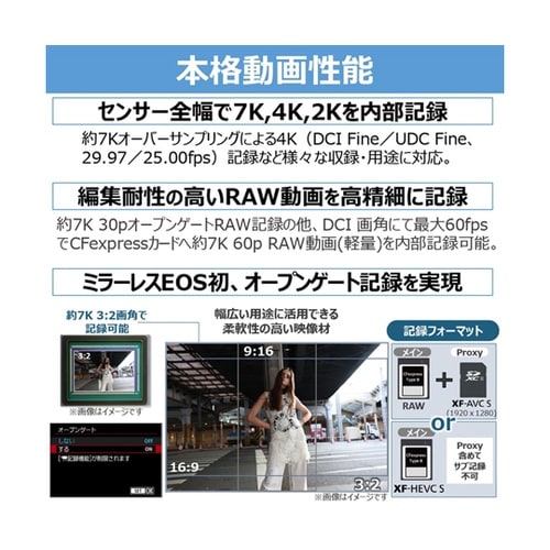 ミラーレス一眼 EOS R6MKIII