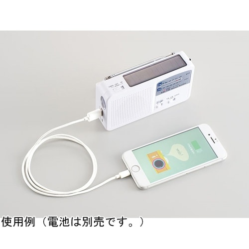 ダイナモエマージェンシーライト DEL