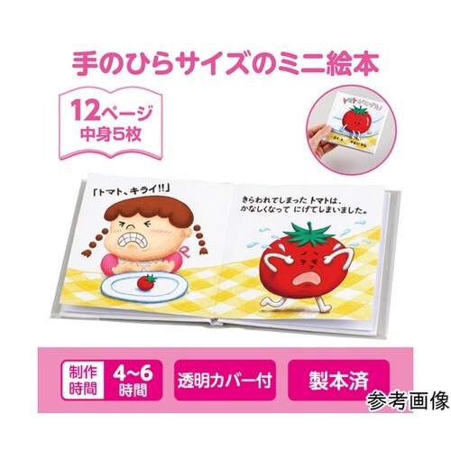 簡単絵本作り ミニ(12ページ) フェル