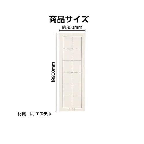 千葉判下敷 両面罫線入 12056