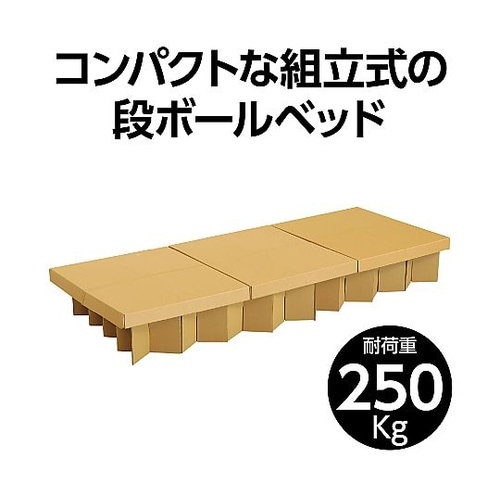 ATエコダンベッドコンパクト 35764