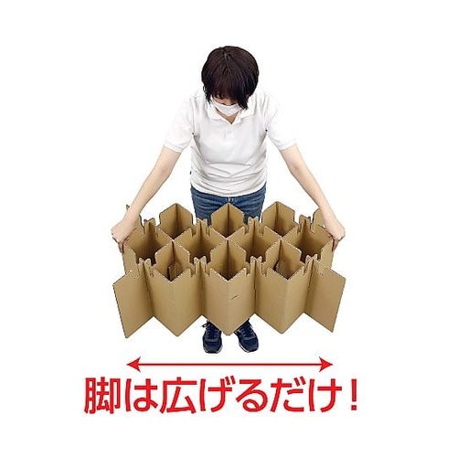 ATエコダンベッドコンパクト 35764