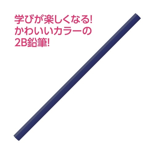 鉛筆2B ネイビー 1セット(12本入)