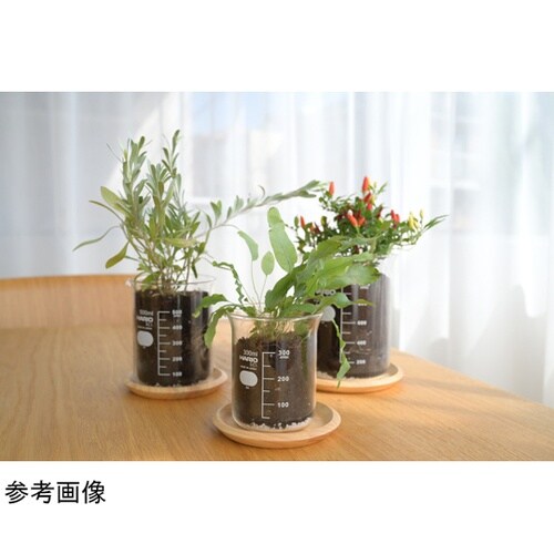 ビーカーの穴あき鉢 300mL BP−3
