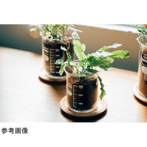 ビーカーの穴あき鉢 300mL BP−3