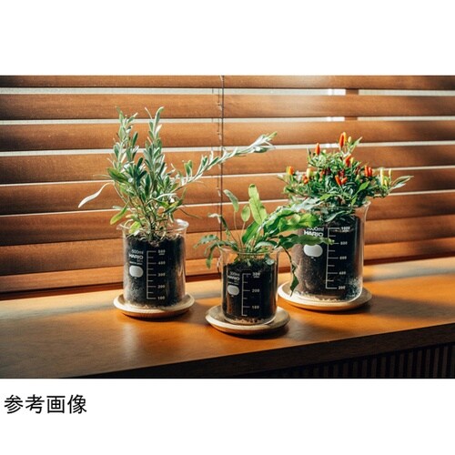 ビーカーの穴あき鉢 1L BP−1L