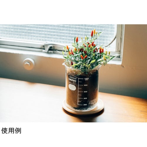 ビーカーの穴あき鉢 1L BP−1L