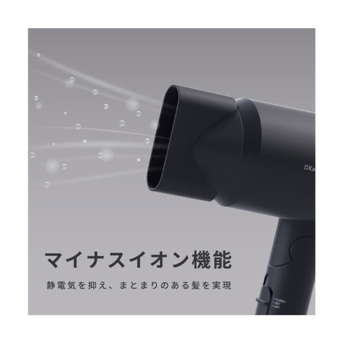 マルチボルテージマイナスイオンヘアードラ