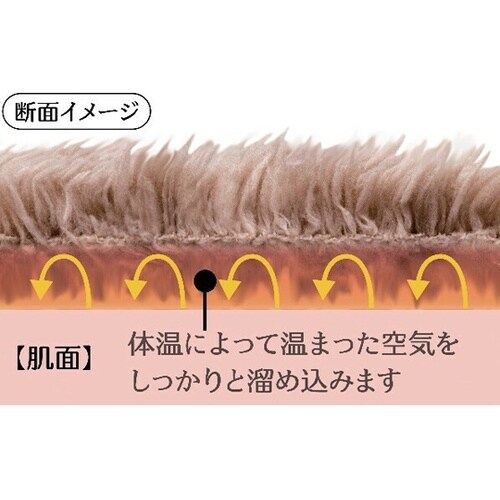 極暖 チェアクッション 1セット(2枚入