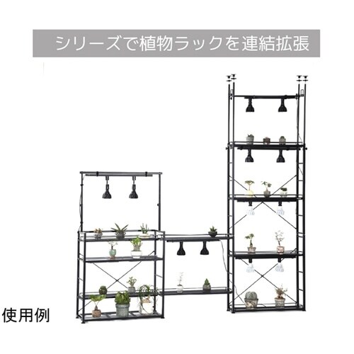 BIBILAB(ビビラボ)ビザールプラン