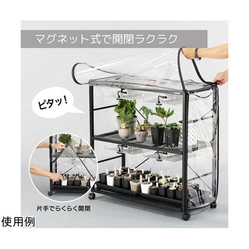 BIBILAB(ビビラボ)ビザールプラン