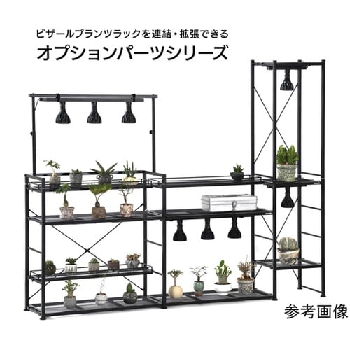BIBILAB(ビビラボ)ビザールプラン