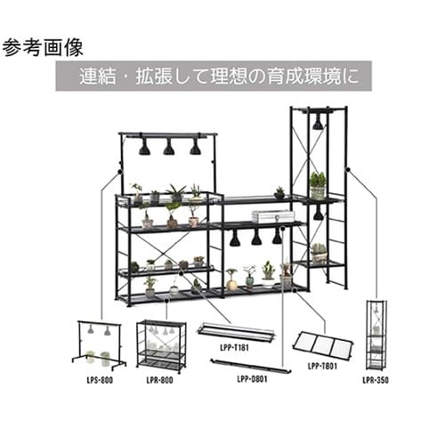 BIBILAB(ビビラボ)ビザールプラン