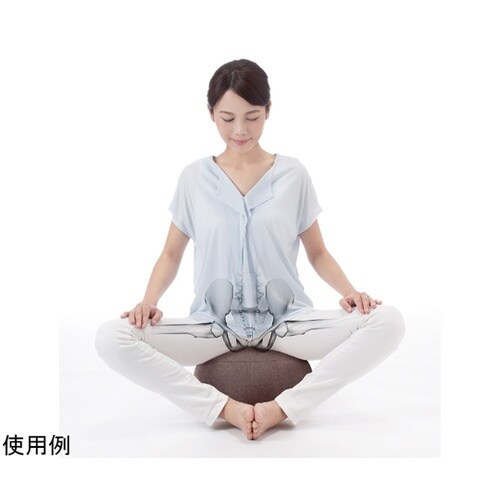 YOZA 股関節ストレッチクッション ブ