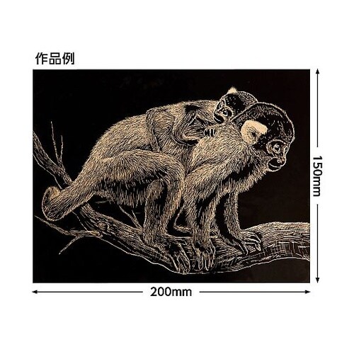 ゴールドスクラッチボード200×150m