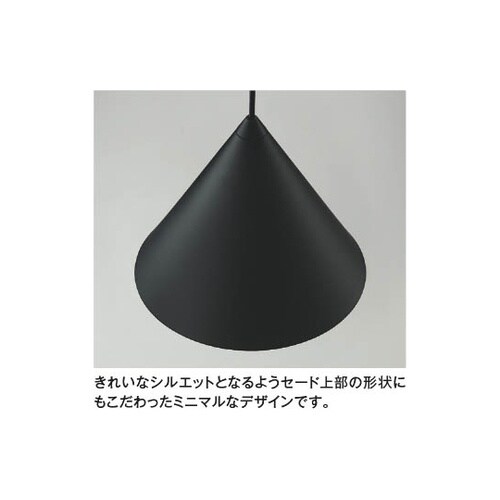LEDペンダント AP55558
