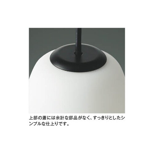 LEDペンダント AP55570