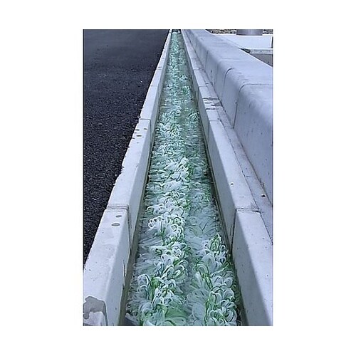 モールコード 50m 630004616