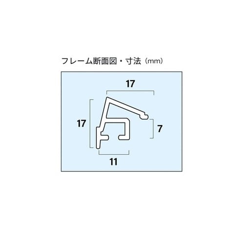 アルミ額縁 A10N キャビネ シルバー