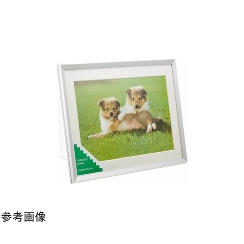 アルミ額縁 A10N ワイド4切 シルバ