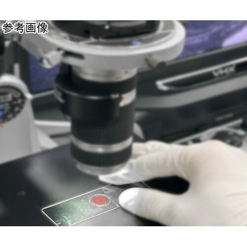 【サンプルを密封】スライド観察用チャンバ