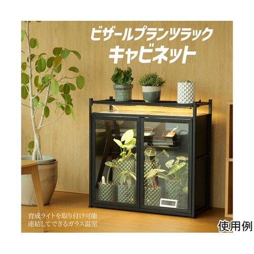 ビザールプランツラック キャビネット L