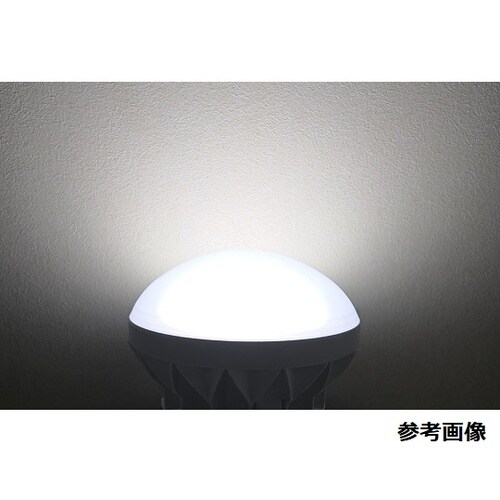 水銀灯300W相当 屋外用LEDランプ