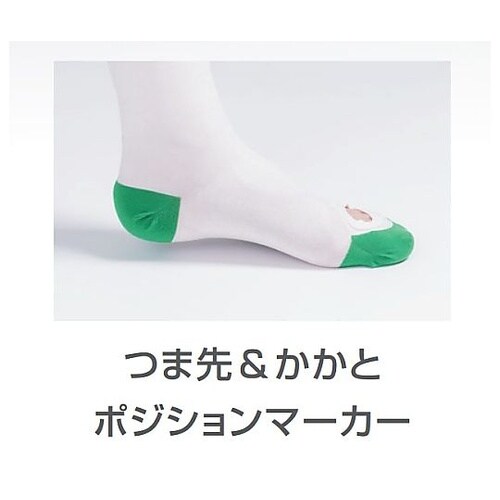 LEG SCIENCE(レッグサイエンス