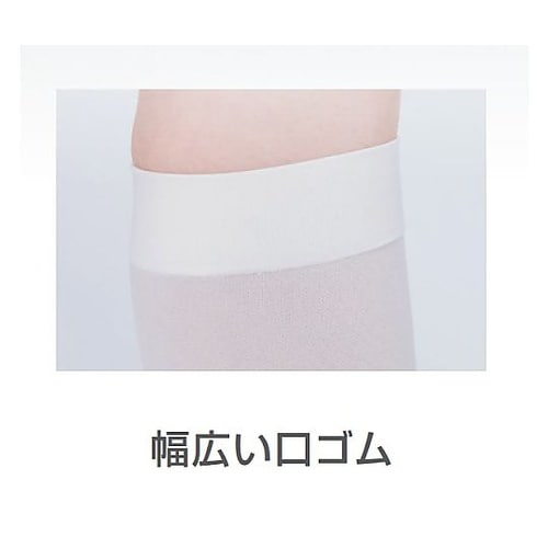 LEG SCIENCE(レッグサイエンス