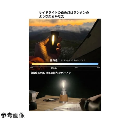 フラッシュライト X4 ブラック X4−