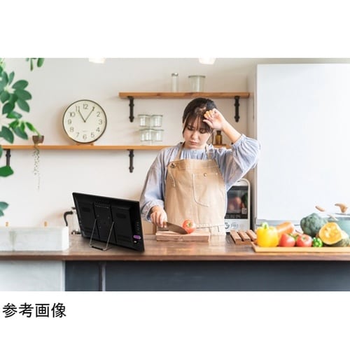 ROOMMATE 録画機能付き19インチ