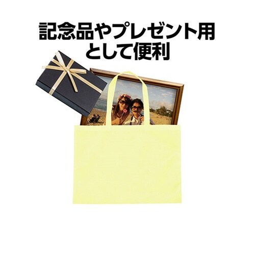カラー不織布バッグ 軽くて丈夫な肩掛けで