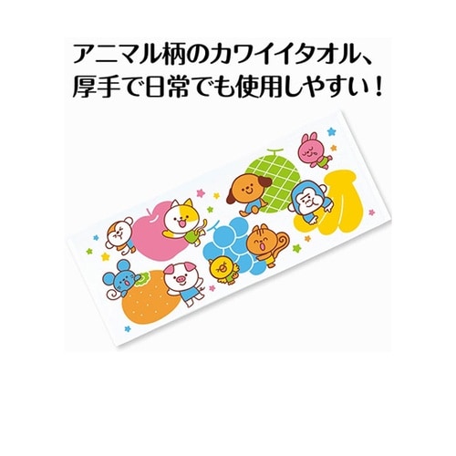 アニマルタオル アニマルタオル 1箱(1