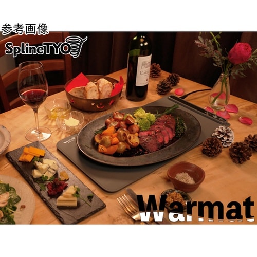 フードウォーマー Warmat ESW−