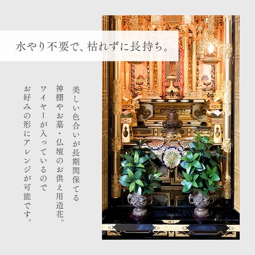 お墓・仏壇用 しきみ 1セット(2束入)