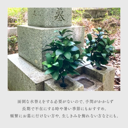 お墓・仏壇用 しきみ 1セット(2束入)