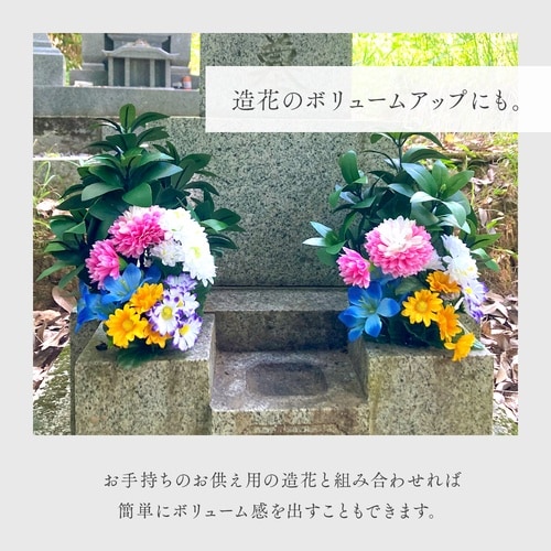 お墓・仏壇用 しきみ 1セット(2束入)