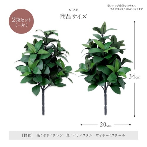 お墓・仏壇用 しきみ 1セット(2束入)