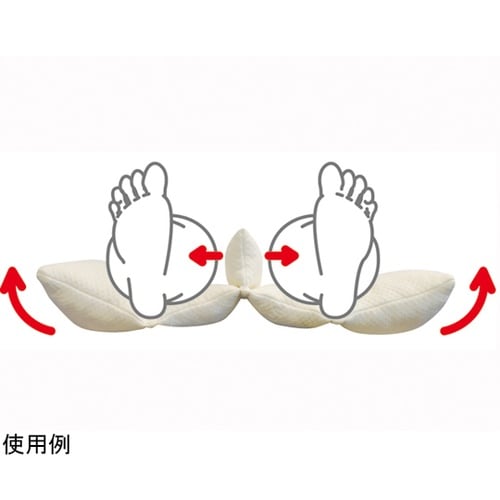 ナーセントExコロネ
