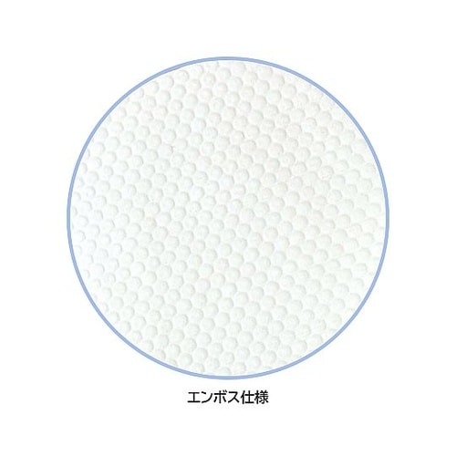 ワイプロンZ70 1箱(50枚×24袋入