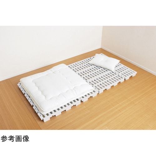 マルチパレット ハーフ アイボリー MA