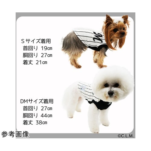犬用ロッテ野球Tシャツ マリーンズ M