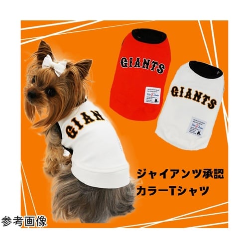 犬用ジィアンツカラーTシャツ オレンジ