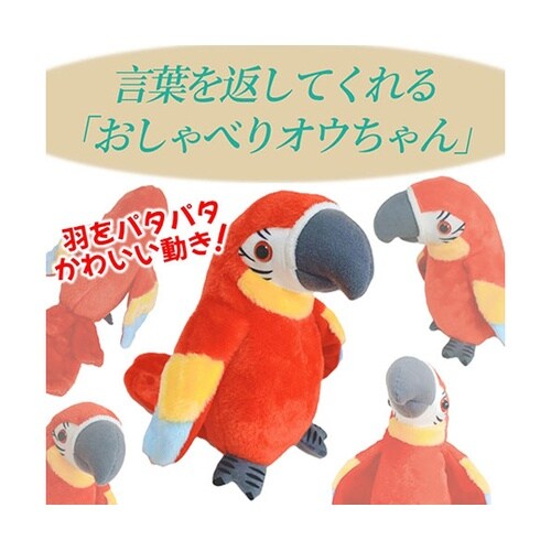 おしゃべりオウちゃん 話しかけると嬉しそ