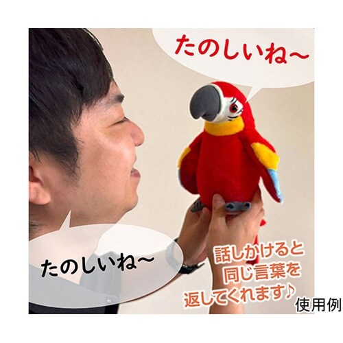 おしゃべりオウちゃん 話しかけると嬉しそ